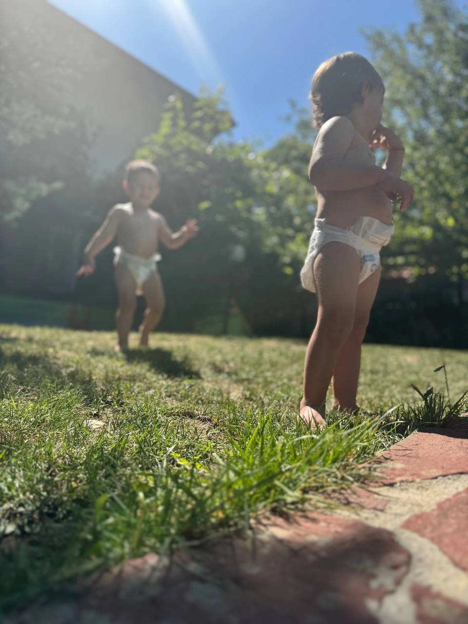 101-photo2025-08-1215-51-18-17559494860711.jpg
