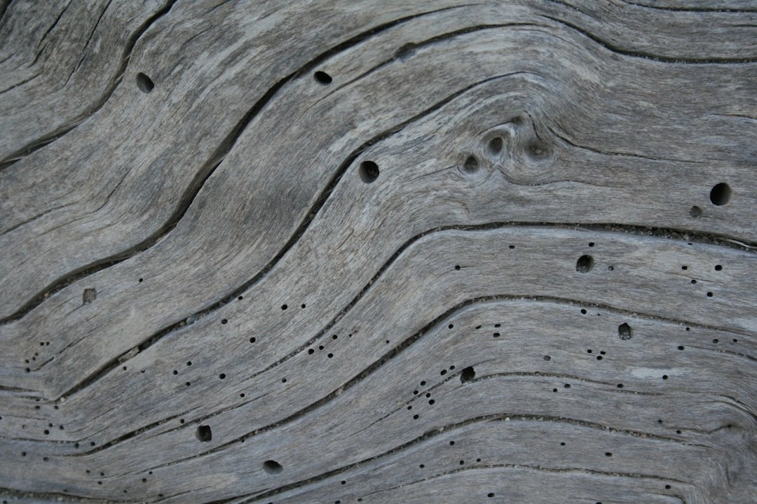 405-c75fv449gum.jpg