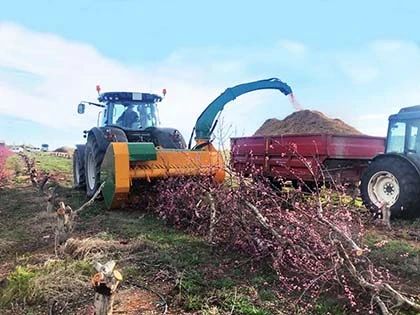 Работа с мулчер BIOMASS 400, SERRAT на полето