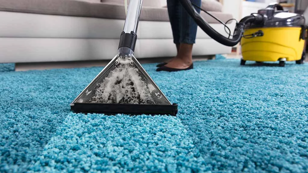 228-person-using-an-at-home-carpet-cleaner-16921043825604.jpg
