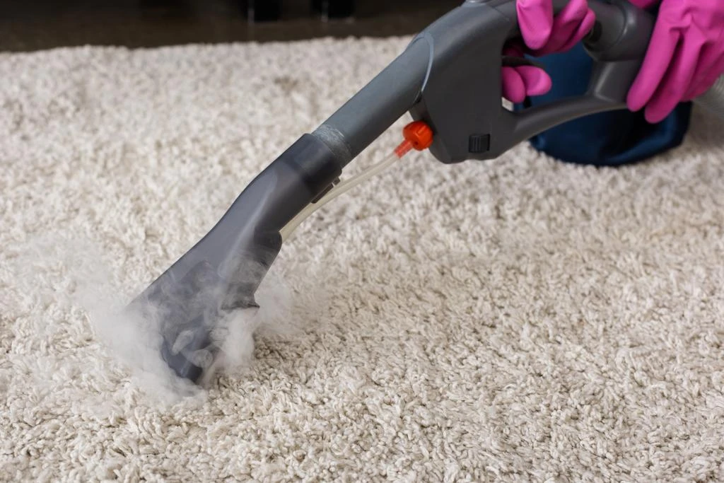 275-stock-photo-cropped-view-cleaner-holding-brush-vacuum-cleaner-hot-steam-carpet-16925541522479.jpg