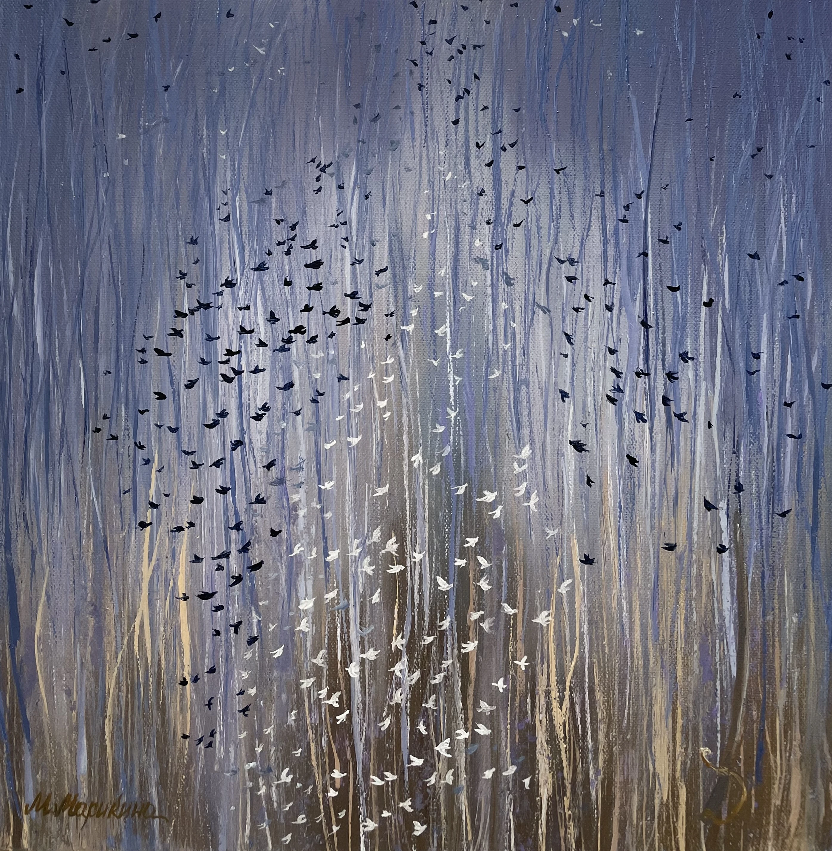 184-img3374-17818058808249.jpeg