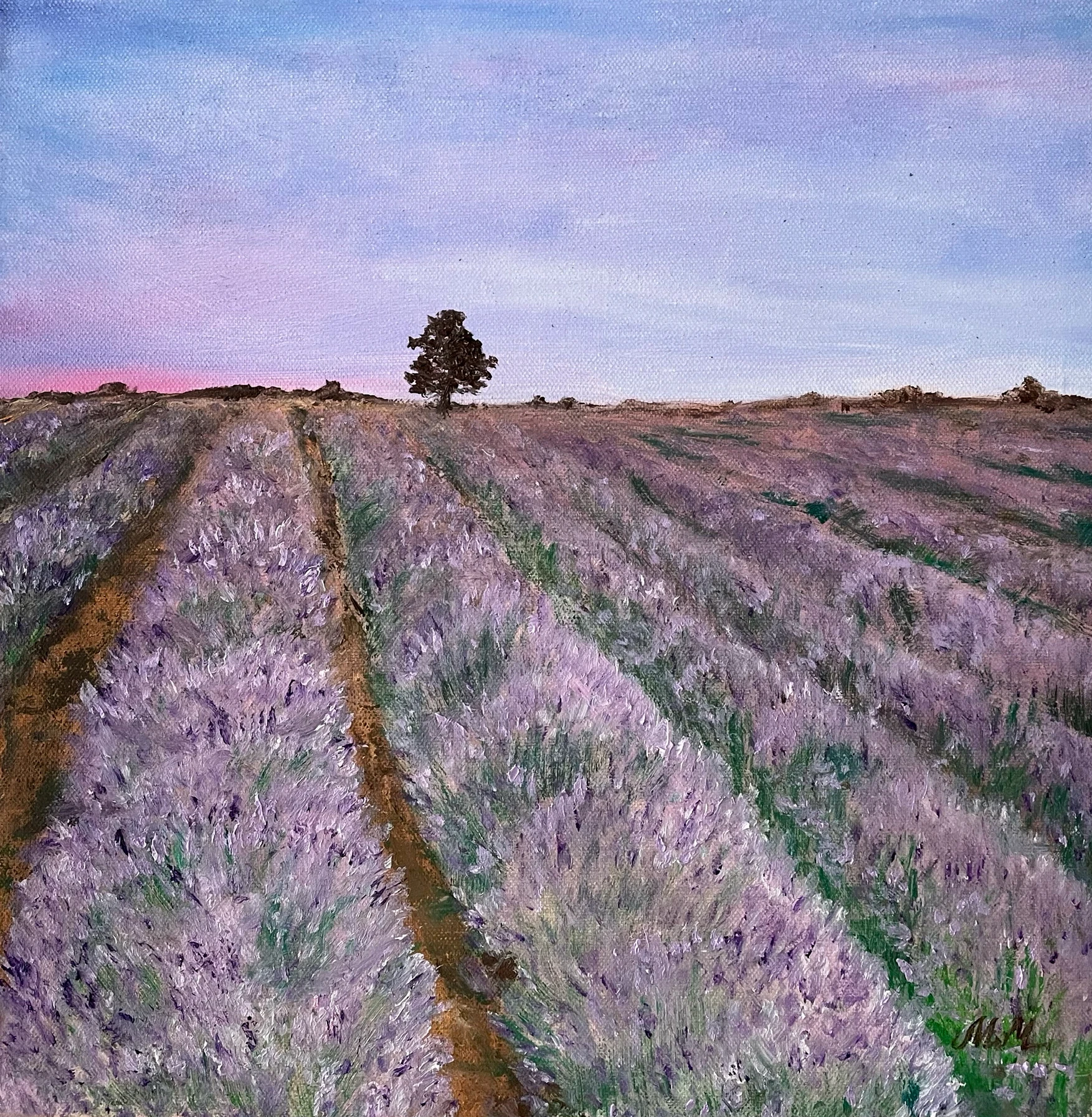 Lavender Morning 56-39042955-5555-4f0c-9d64-add93352c0a2-16896208173472.jpeg