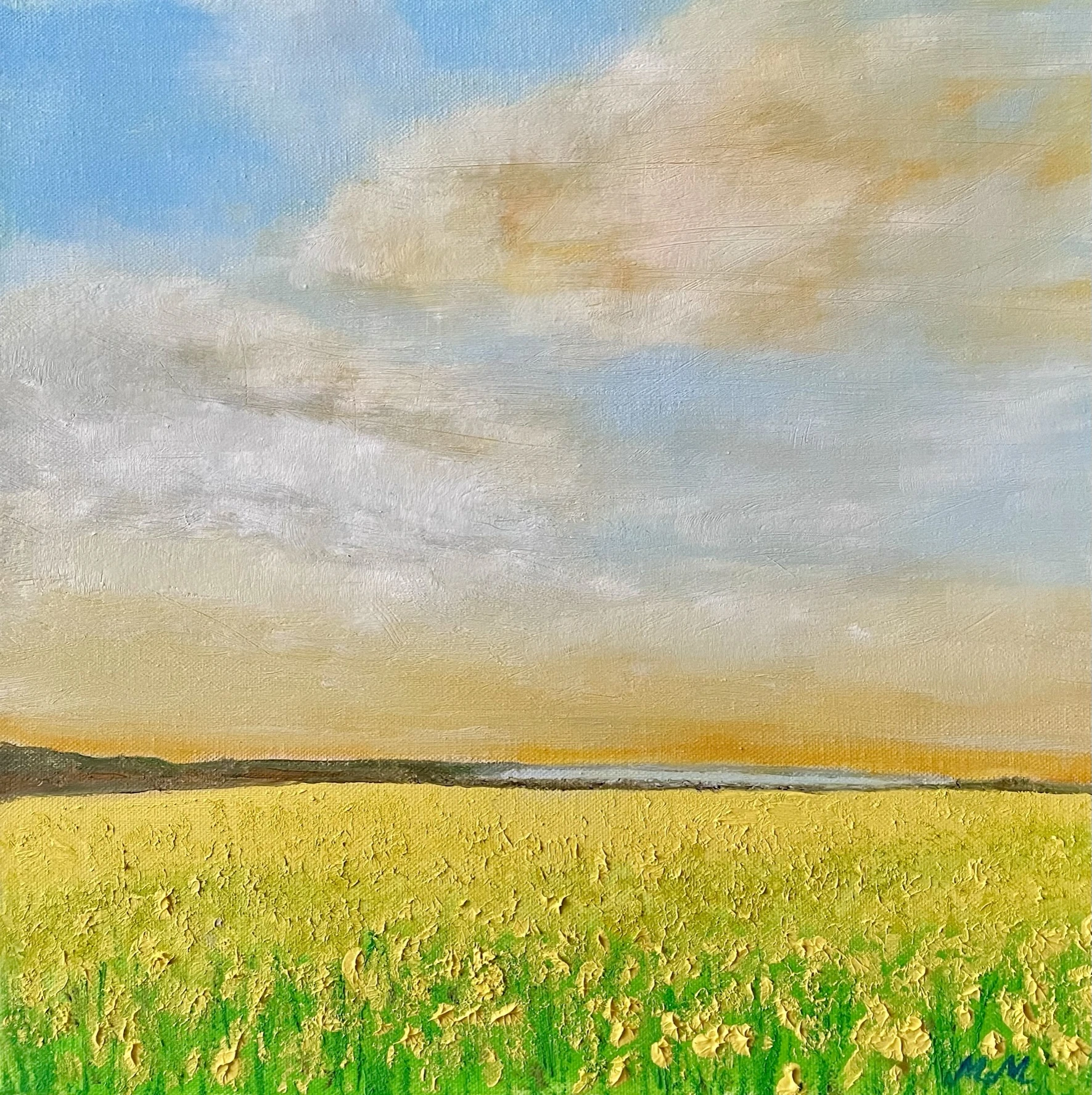 Canola Field 56-6cfc2a42-5aae-4c8d-b384-0cc8668de701-16896207211826.jpeg