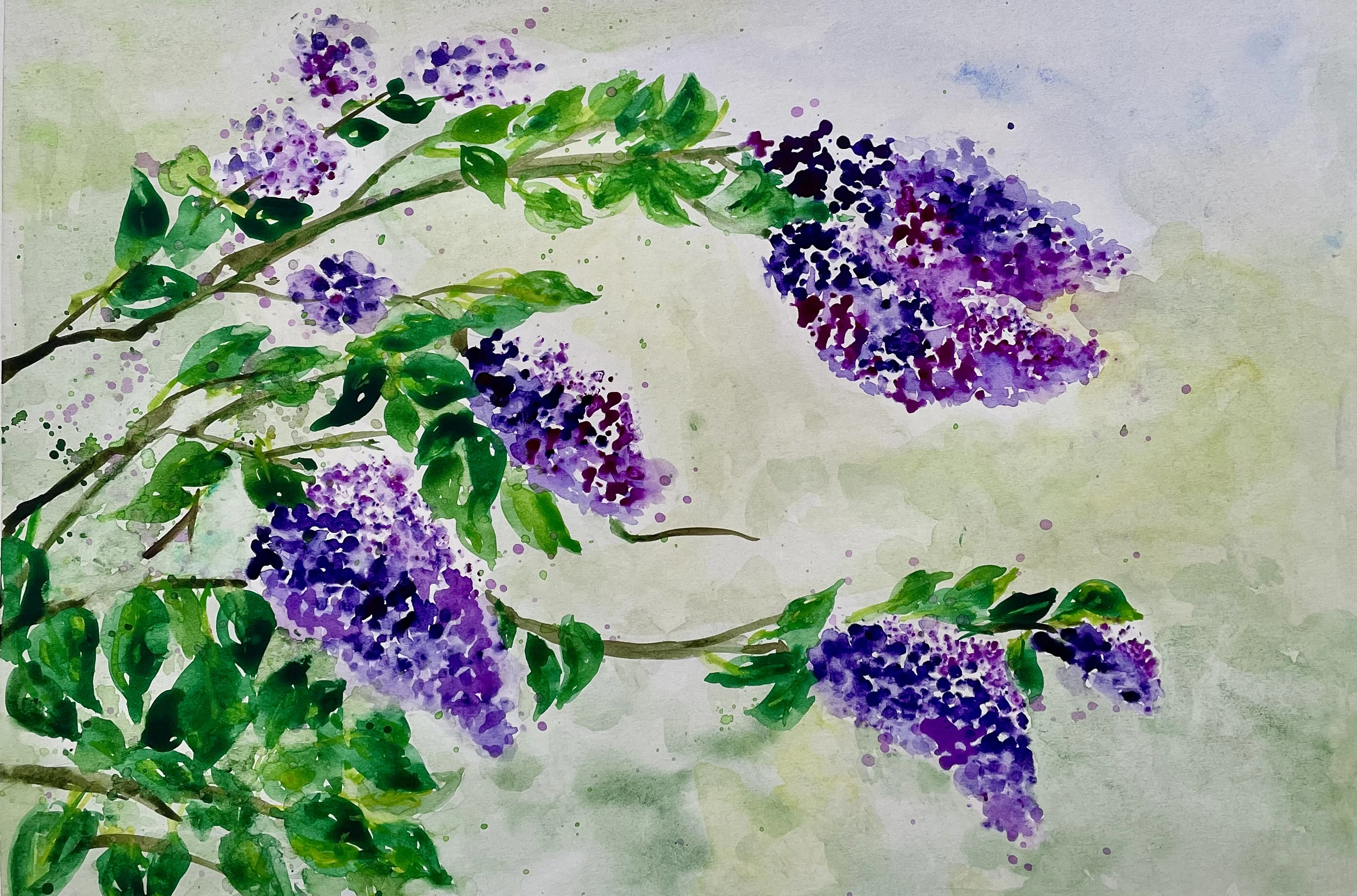 Lilac bush 56-c34d8528-8b7c-4d4d-90a2-7b019c9e3d82-168962089817.jpeg