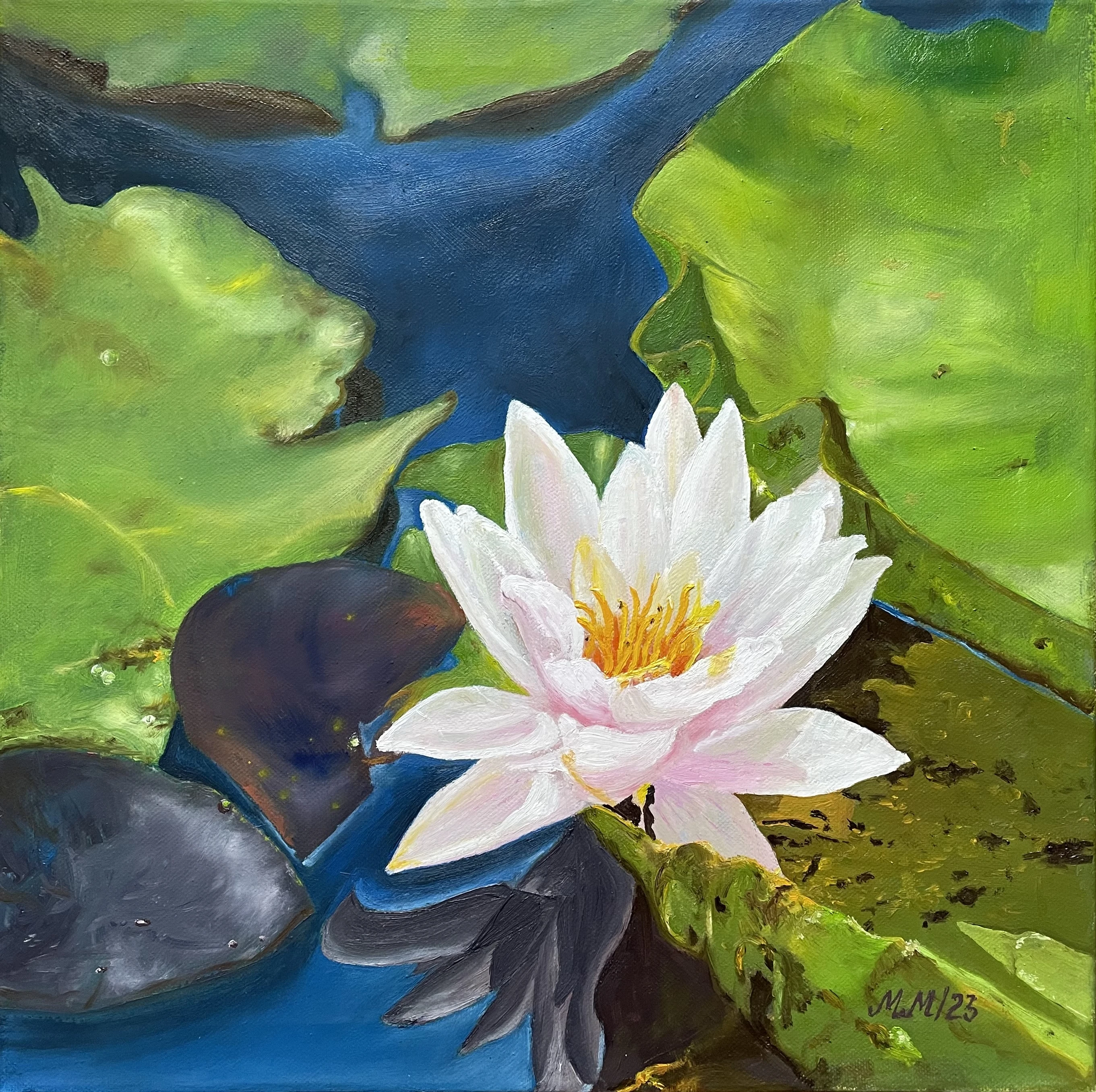 Water lily 56-img6311-16896210182045.jpg