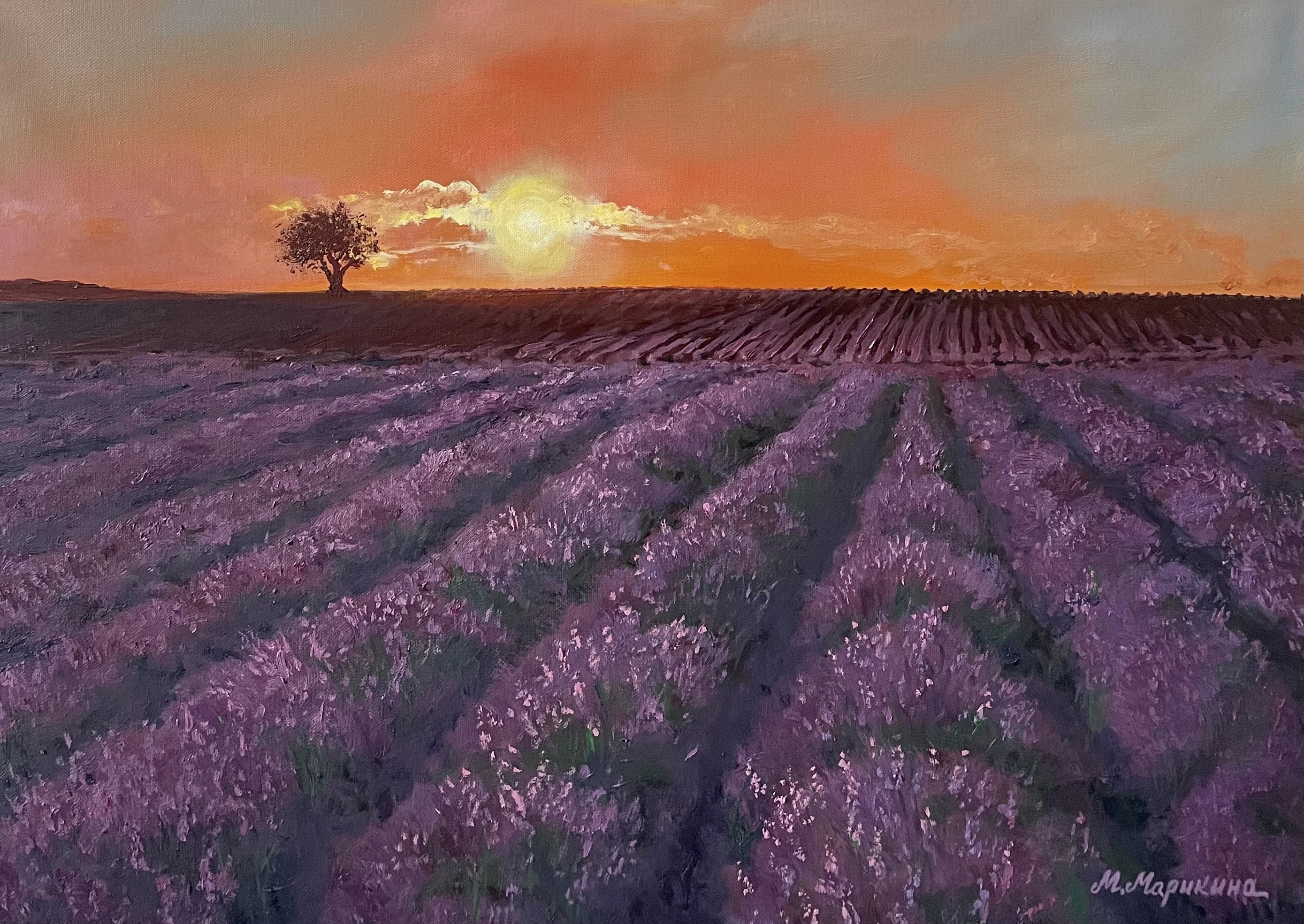 Lavender Twilight 56-img7618-17590656988724.jpg
