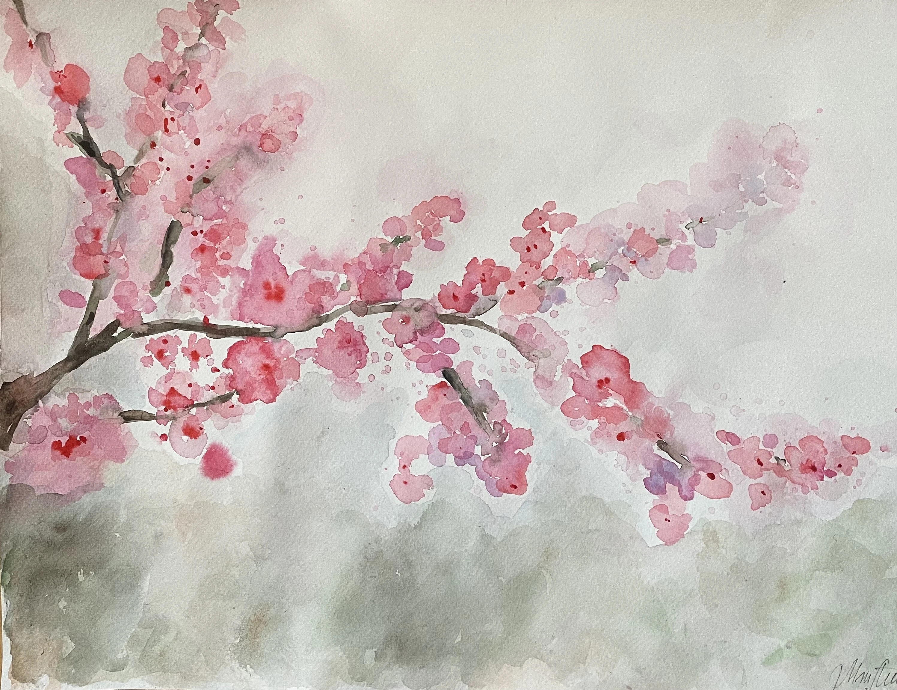 Cherry blossom 83-16cc43a33-34aa-4d82-8b64-4b86a4d5d04b-16896591354262.jpeg