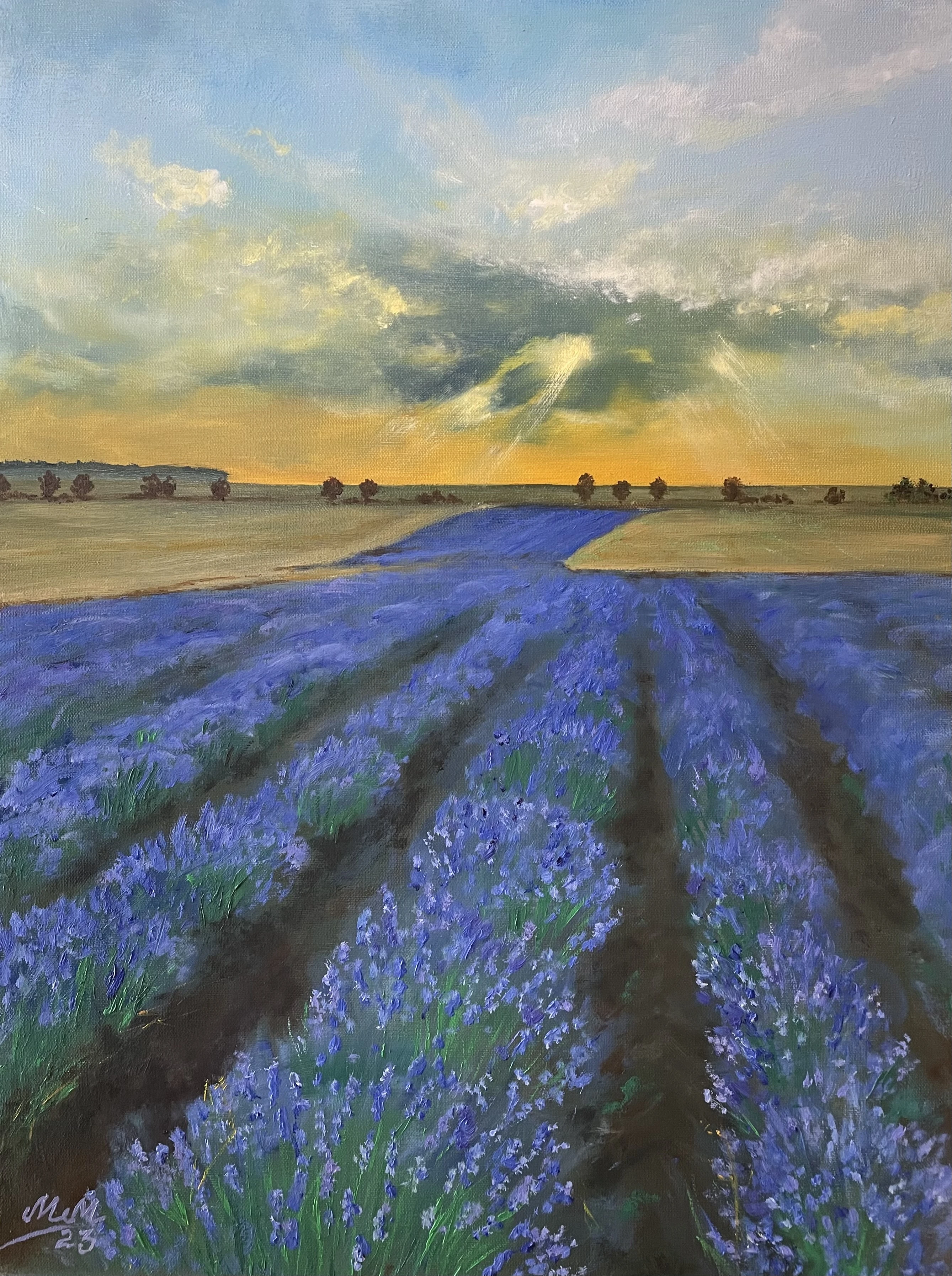Lavender field 83-img9652-16895777432954.jpg