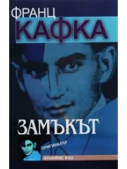 ВИЖ ПОВЕЧЕ 313-6zamakut-cover-16842539067789.png