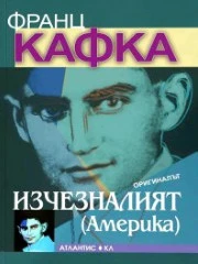 ВИЖ ПОВЕЧЕ 313-izcheznaliyat-cover-16842529299511.jpg