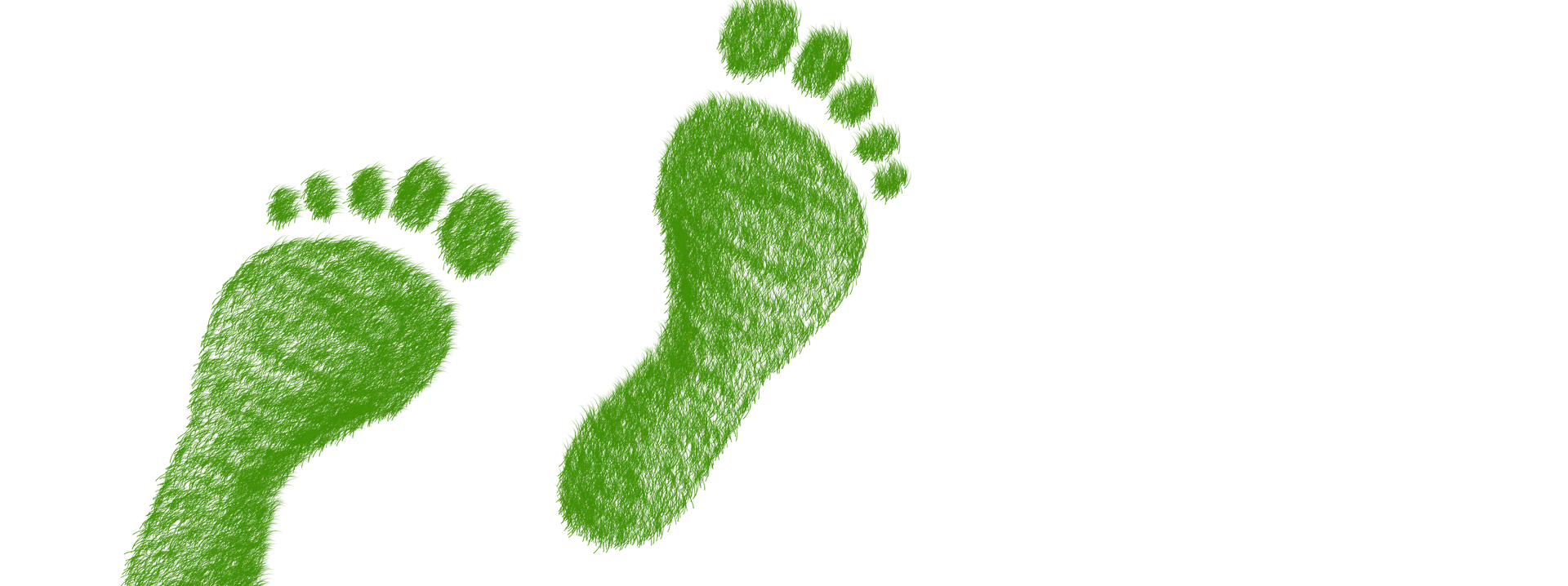 09921920718546-green-g8018af8ee1920.png