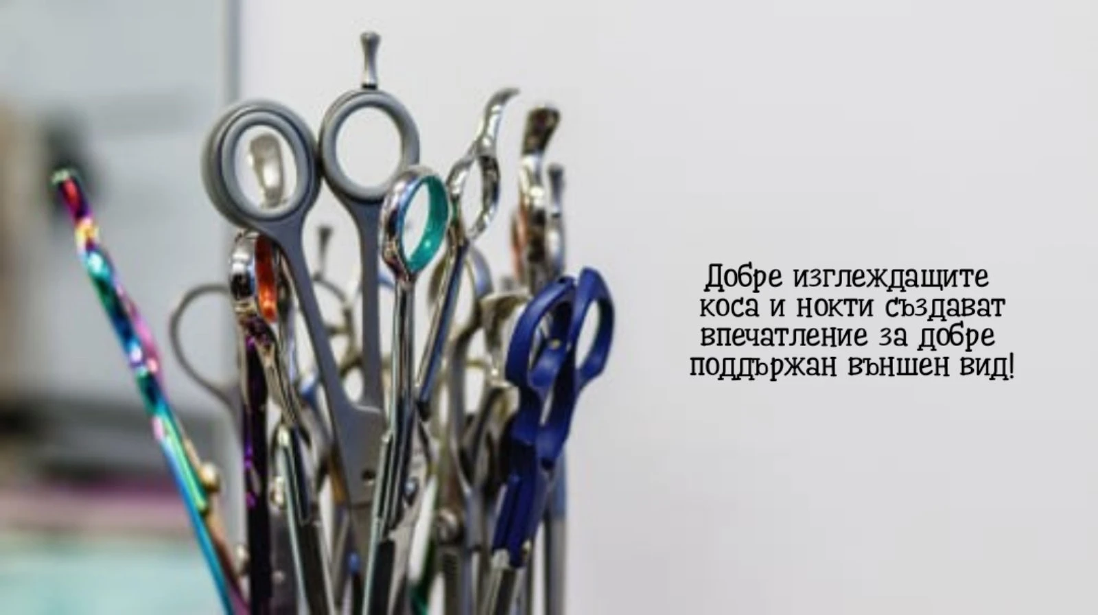 960-viberimage2024-03-2614-43-26-230-17114635332792.jpg