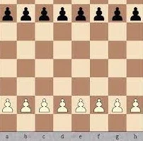 1228202199314-images-17550344148817.jpg