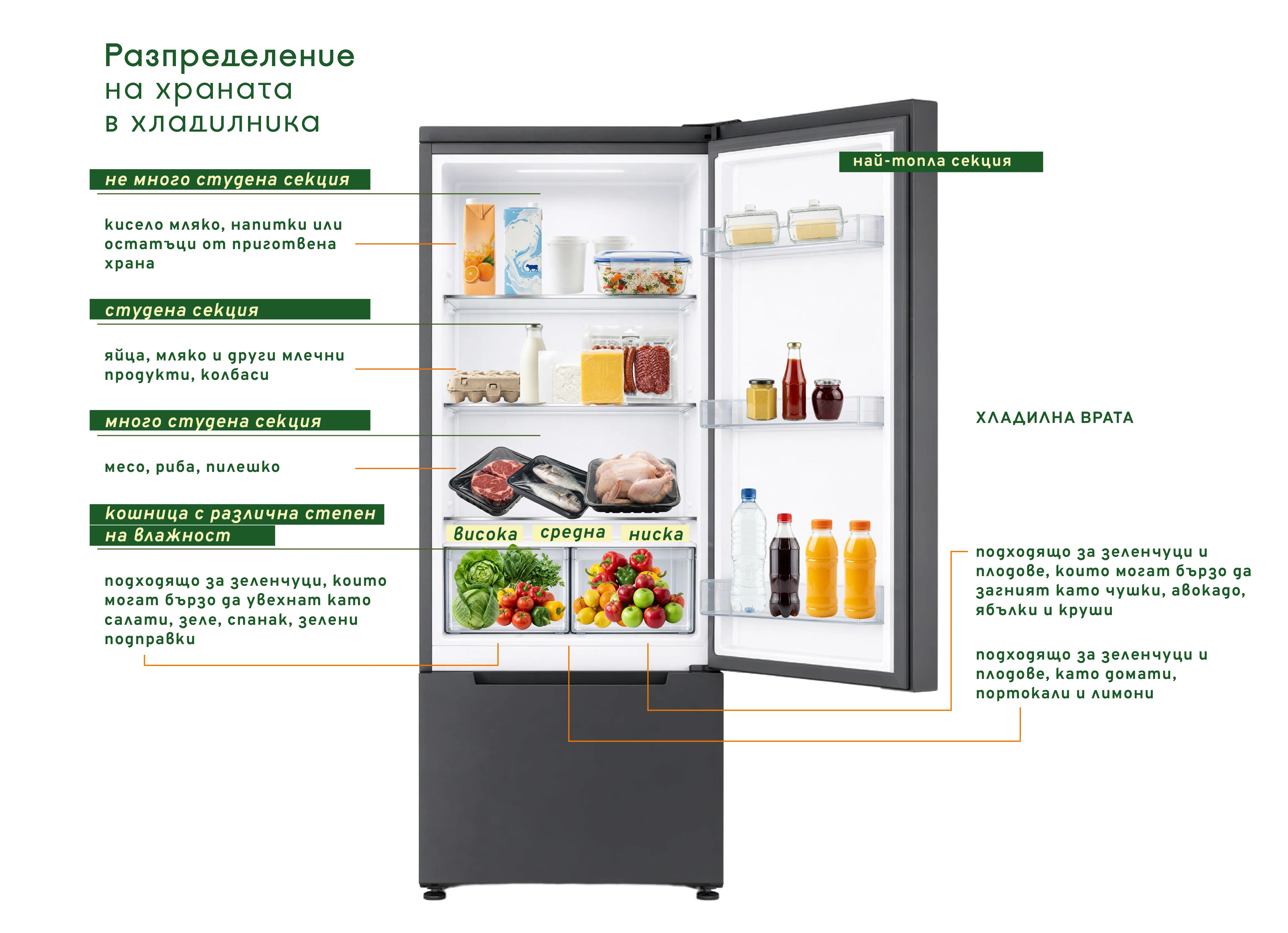 637-хладилник-–-подредба-на-продукти-5-17907104574591.png