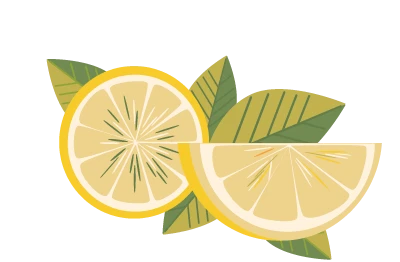 069400262311-besst-brand-identity-lemon---web-bg-17413502081079.png