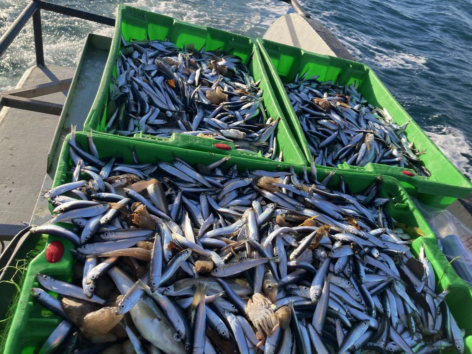Fishers4CoManage – Initial Consortium Meeting