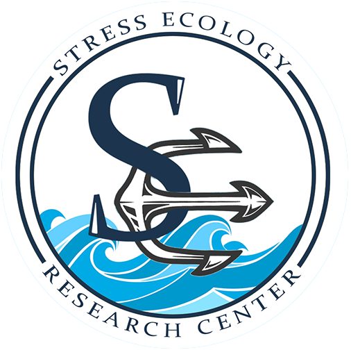 Black Sea Research
