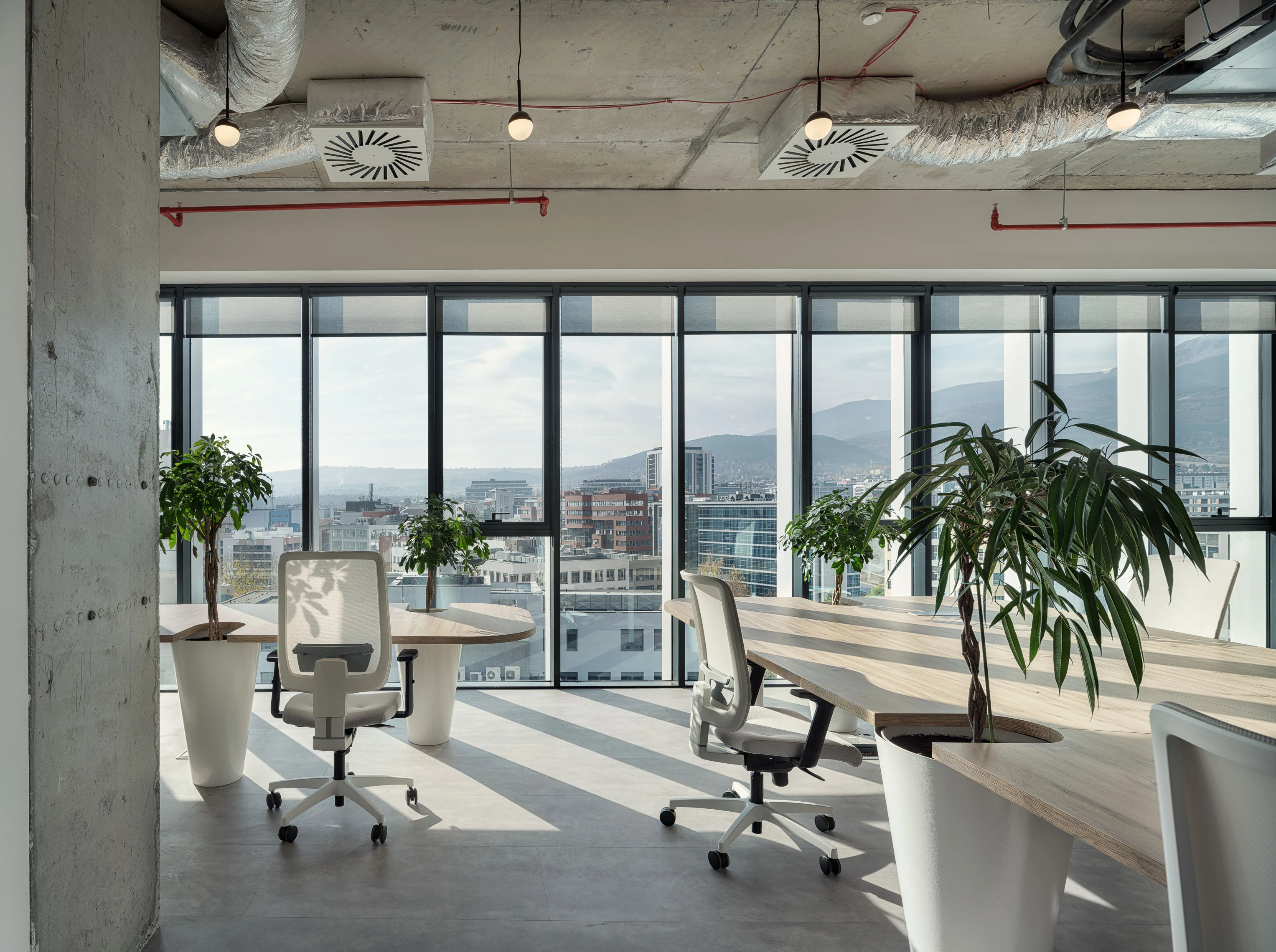 Интериорно озеленяване офис Botanic lab