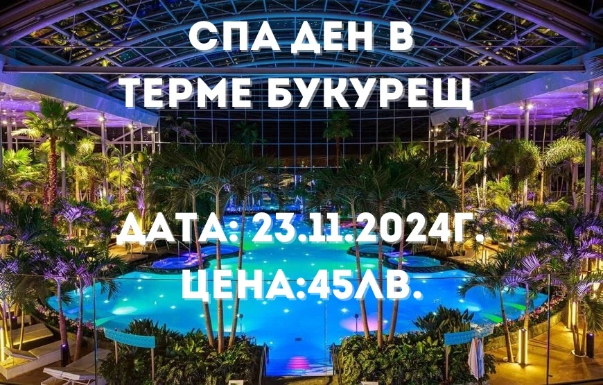 209-изображение2024-10-0212-09-05-512-17280403502644.jpg