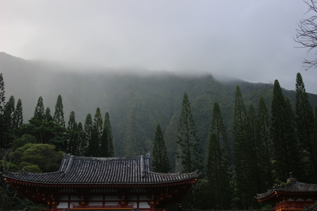 209-208-208-r57-cwilsvx33ru.jpg