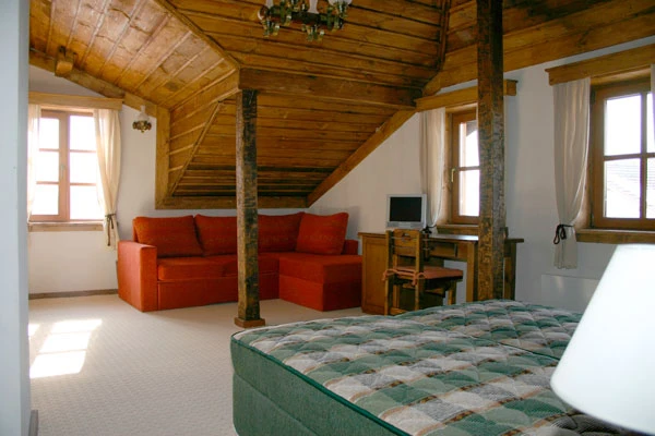 611-212-chalet-sophia-5-17157628045673-17913541139504.jpg