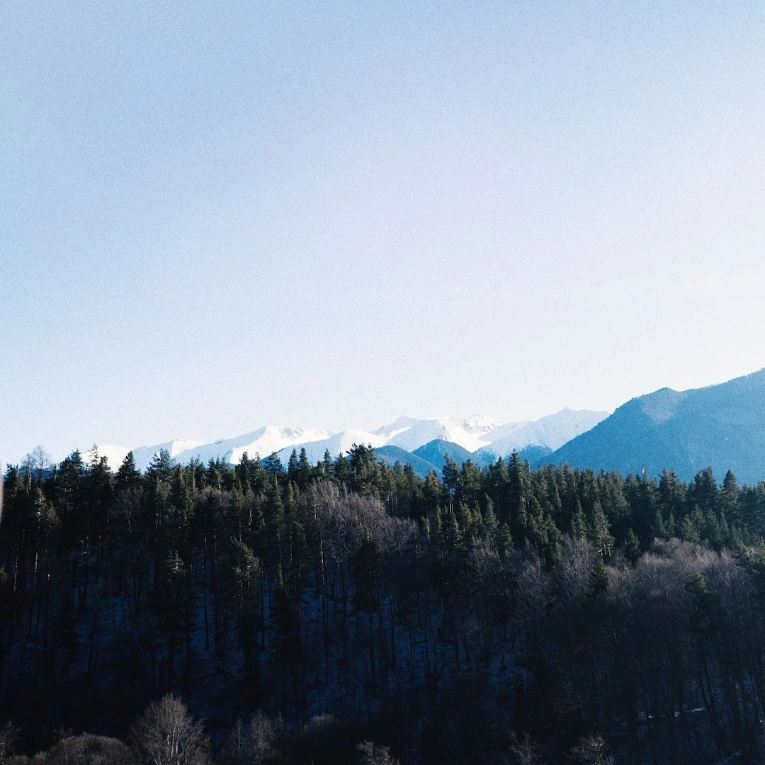 r53-etggglod5ow-17001524083743.jpg