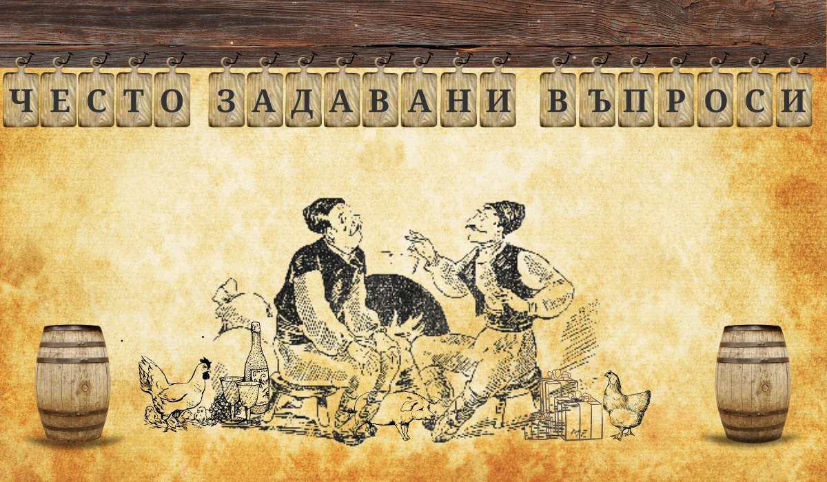 4398-често-задавани-въпроси-1200-×-700-пиксела-16761275292333.png