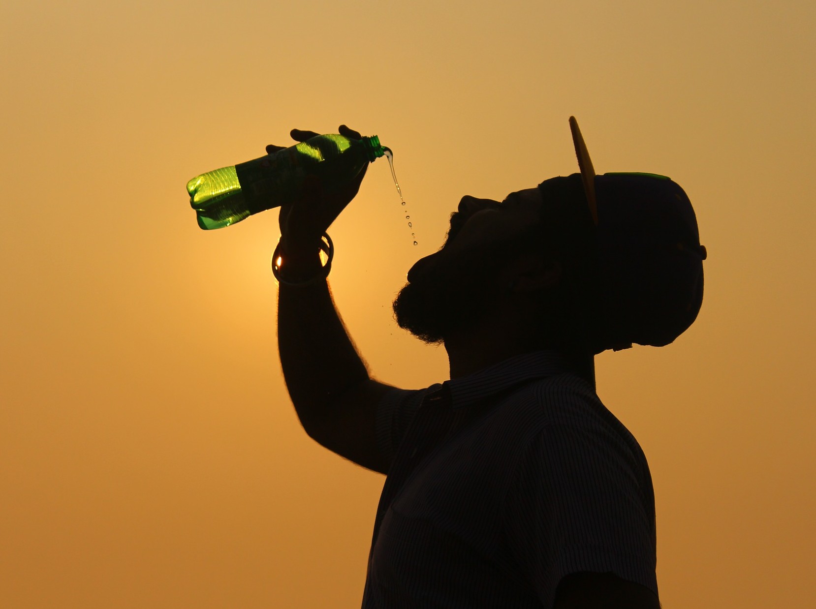 126191658123831-silhouette-17889081920.jpg