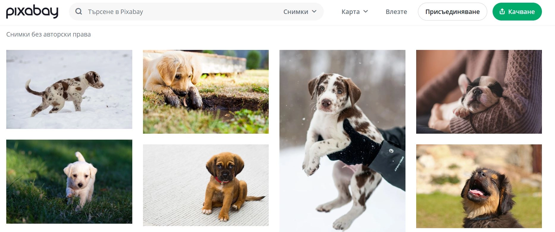 Сайтове за изображения без copyright