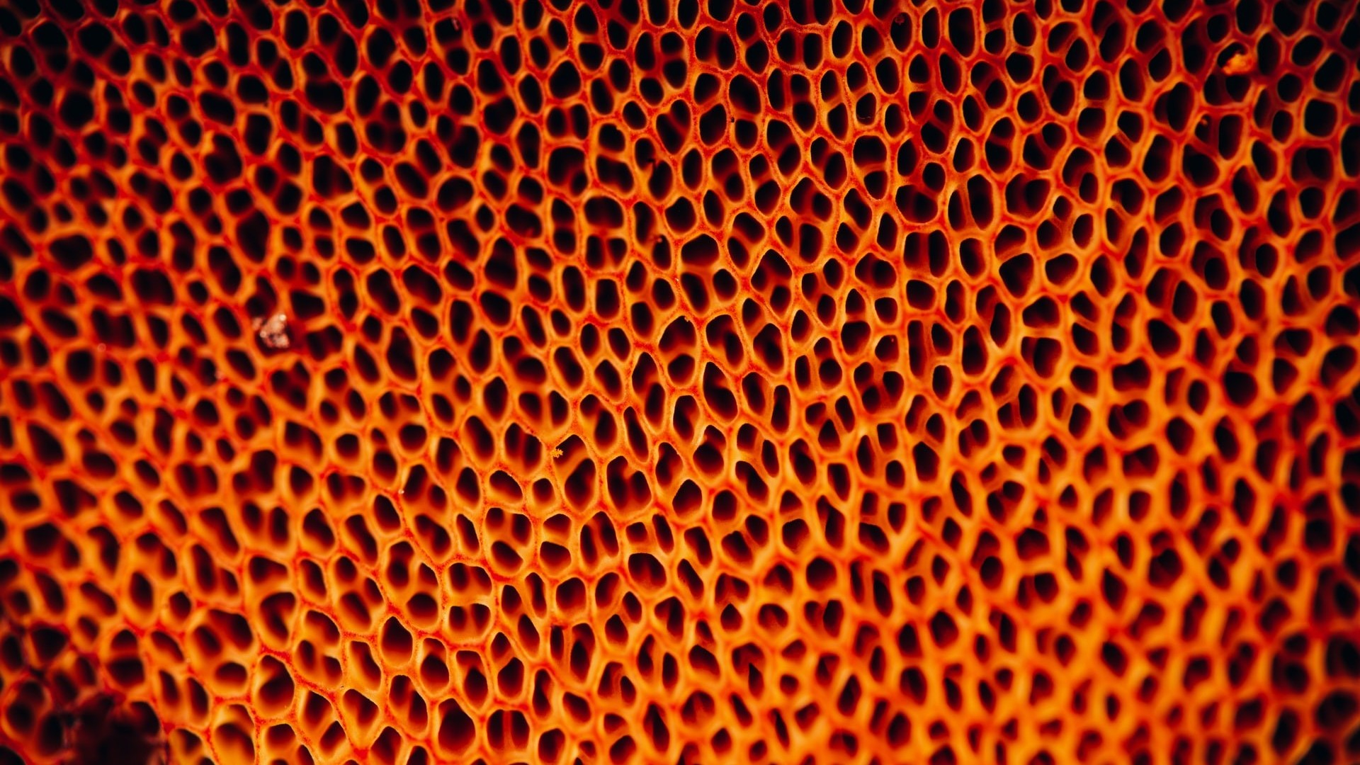 090192010801696-2ZSyzoTqv-0.jpg