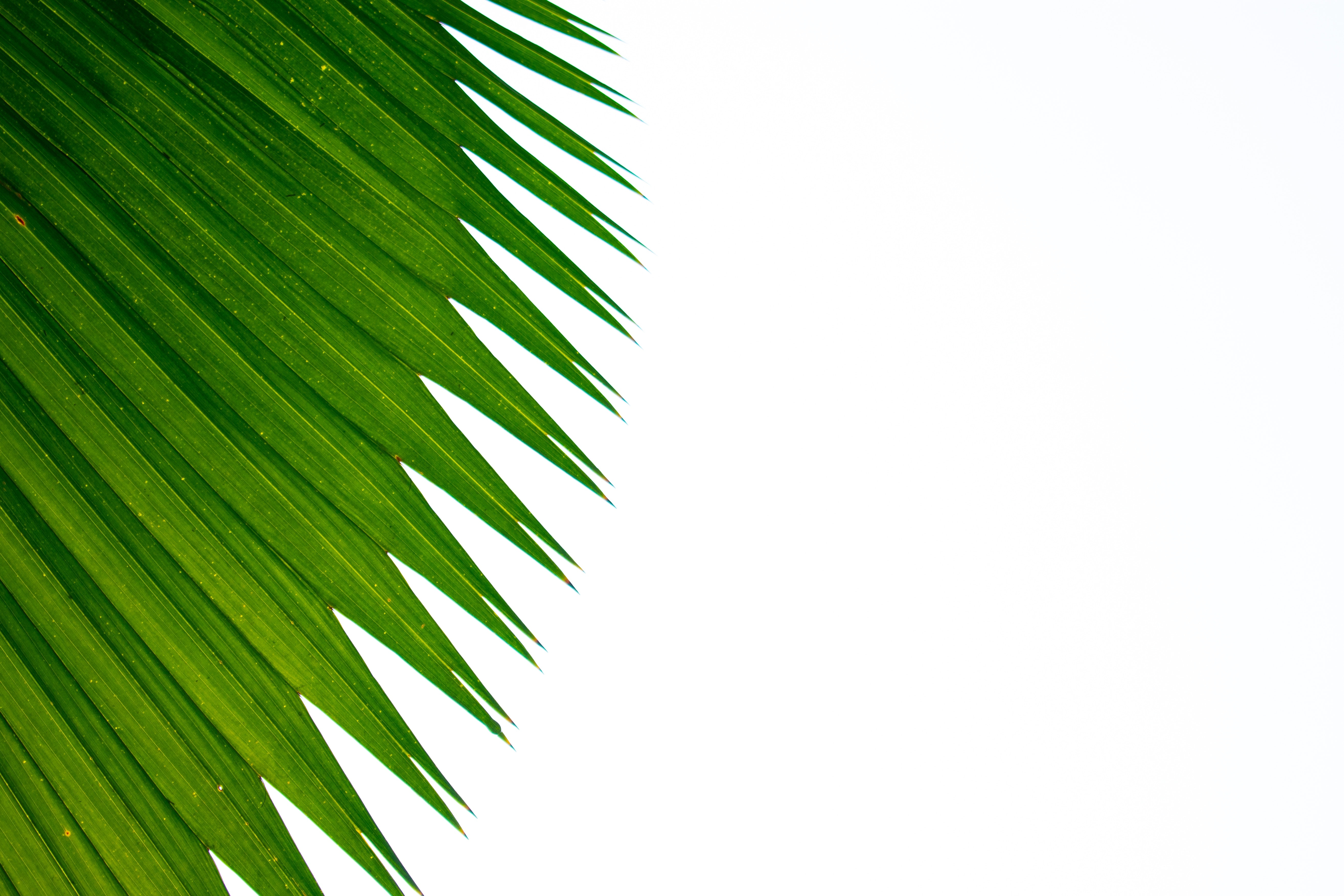 49-26-r83-kon-karampelas-o6ctw4ccklo-unsplash.jpg