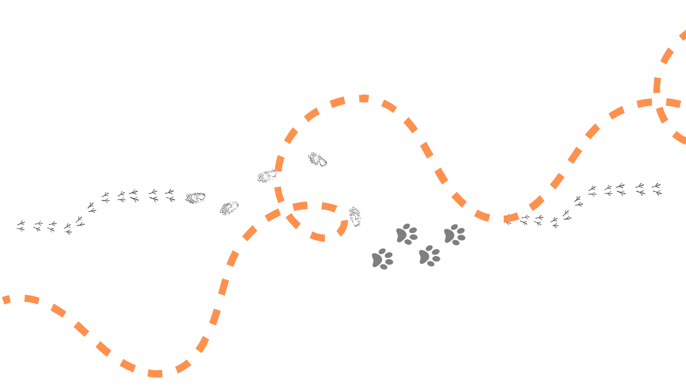 r137-namnlos-webbplats-5-17338363140495.png