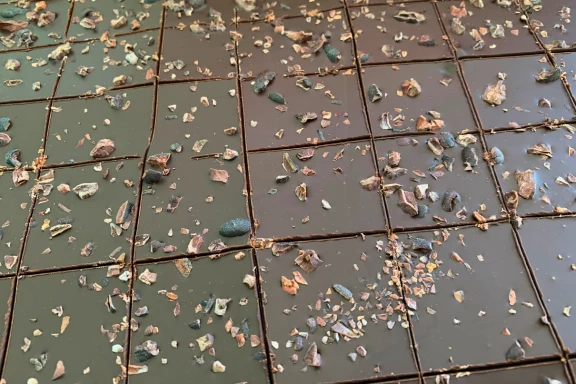 566-chips-nibs-17589731532562.png