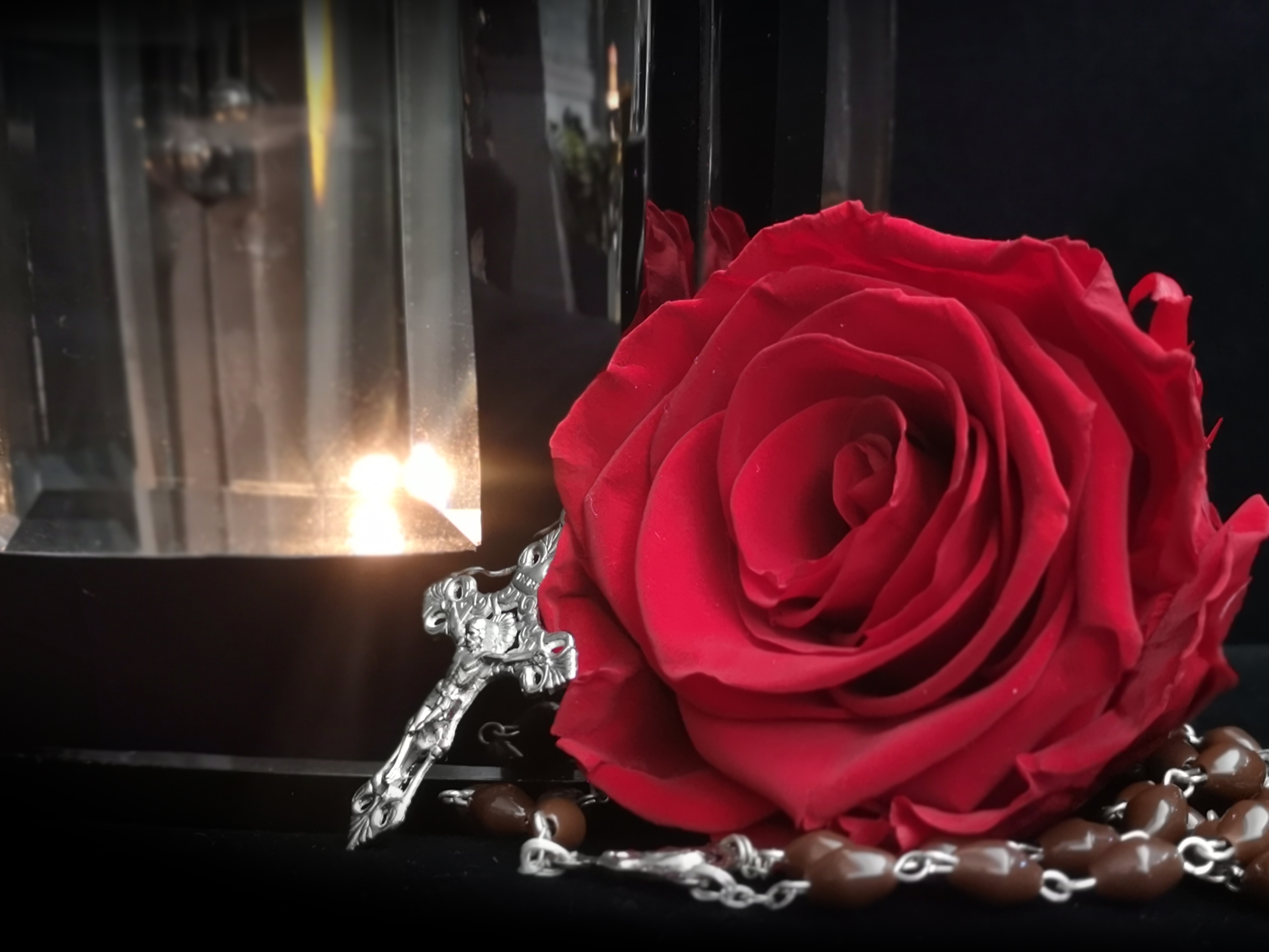 1492-rose4.jpg