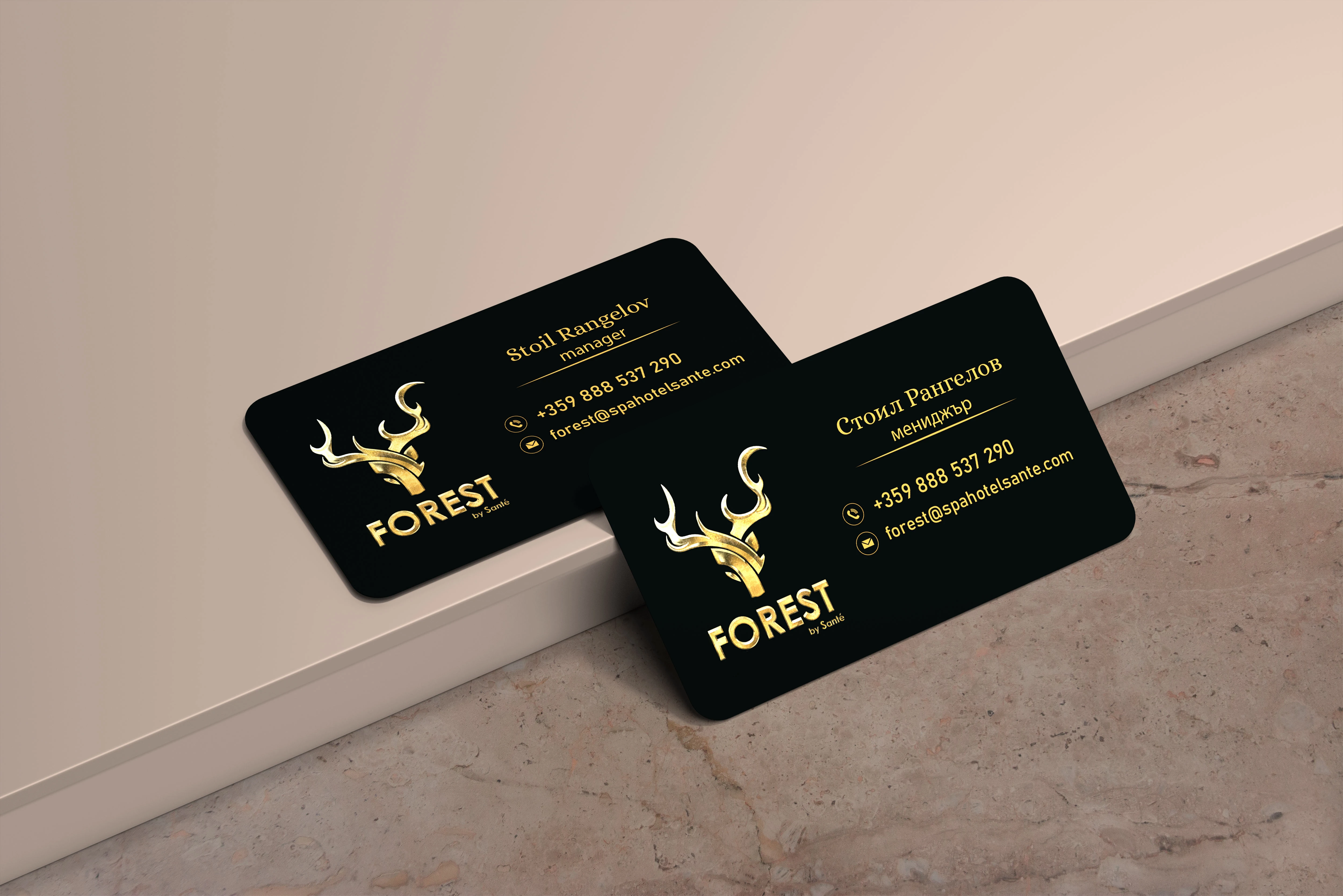 291-mockup-17440303186436.jpg