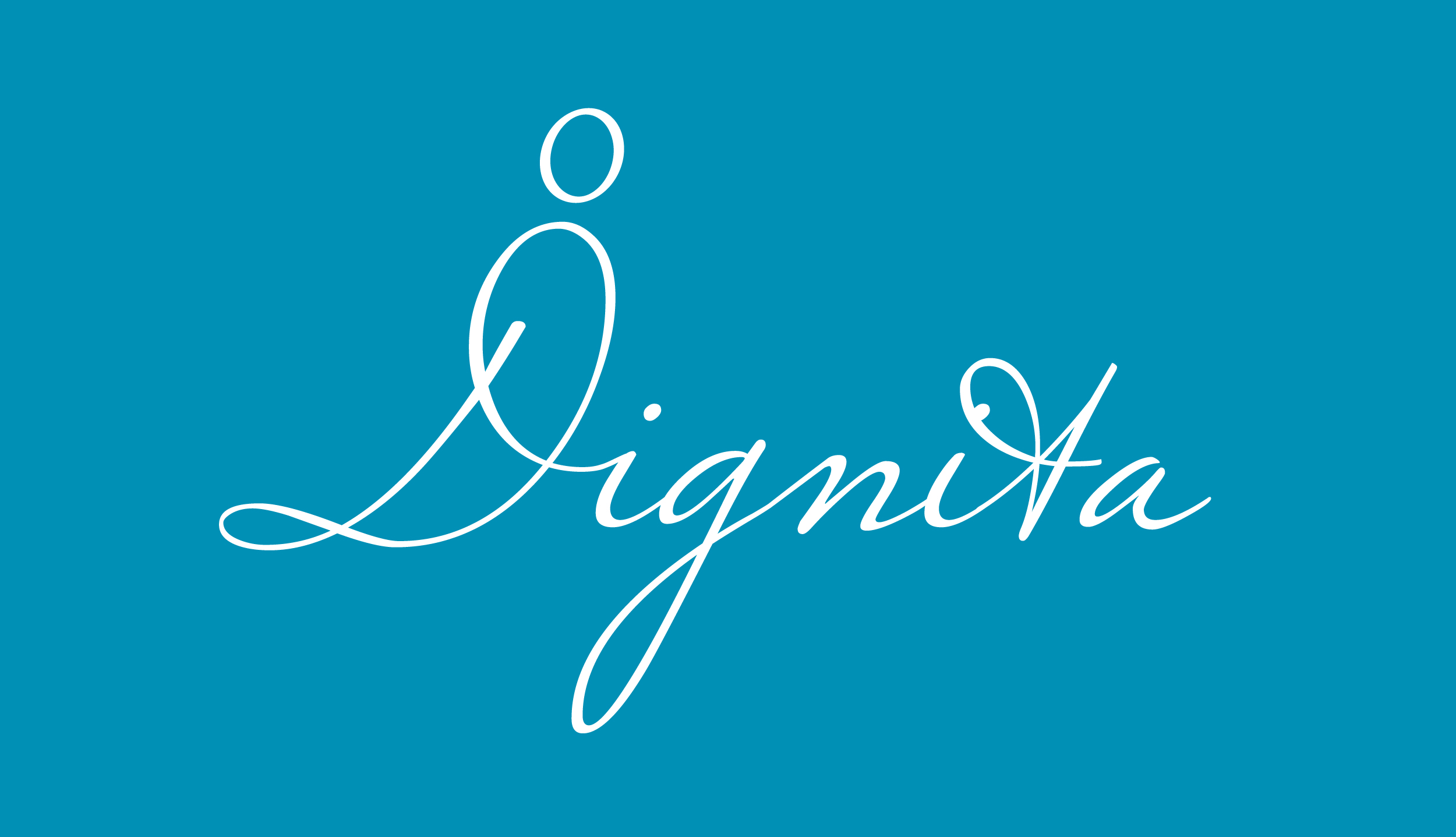 232-dignita-logo-eng-on-blue-16026683650997.jpg