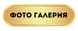2571-4-17232036621098.png