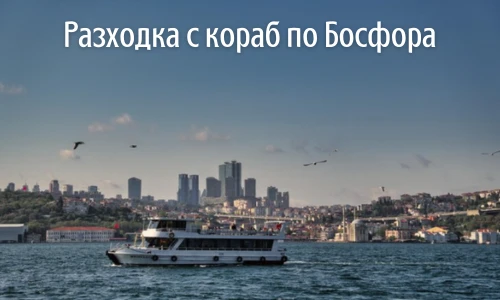 767-15-169565653576.png