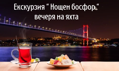 845-18-16956565575473.png