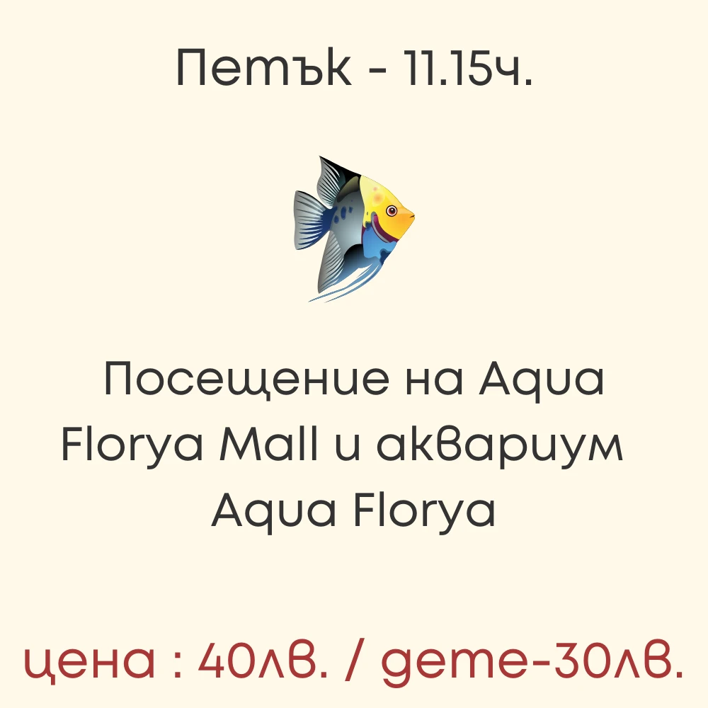 869-33-16958067198915.png