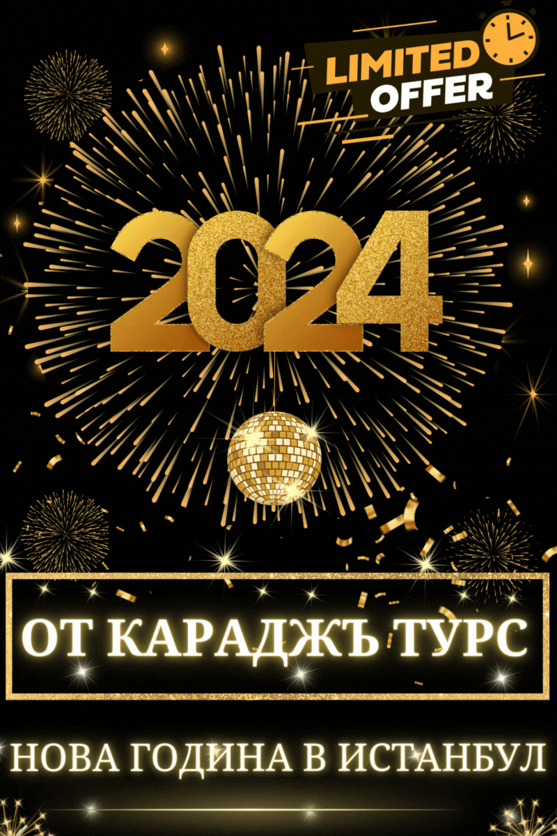 998-1-17020231811789.gif