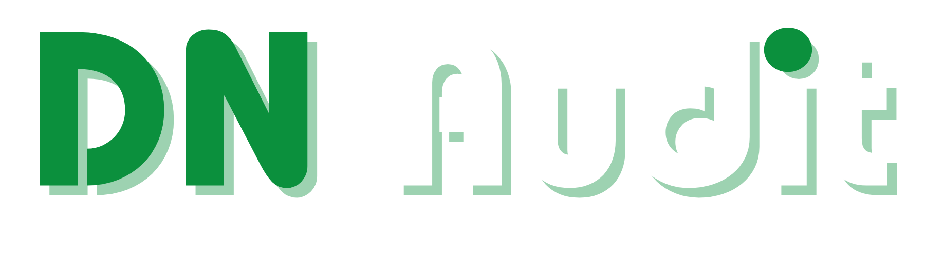 DN Audit