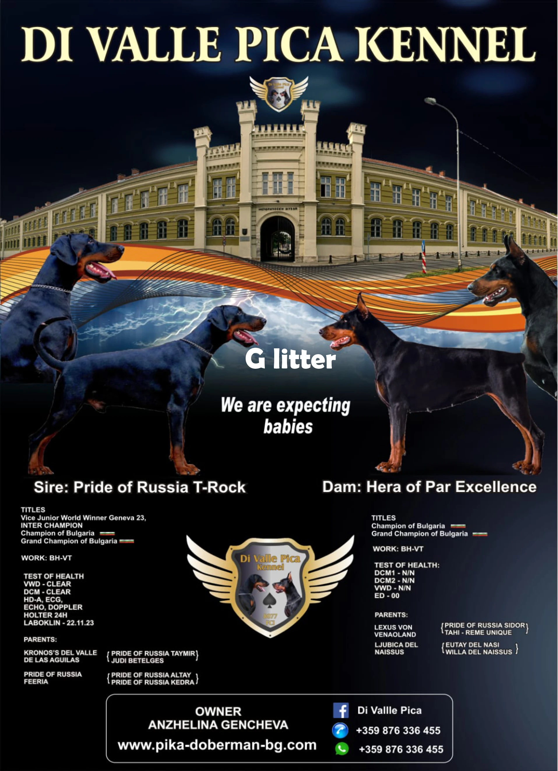 856-pica-g-litter-17328334804046.png