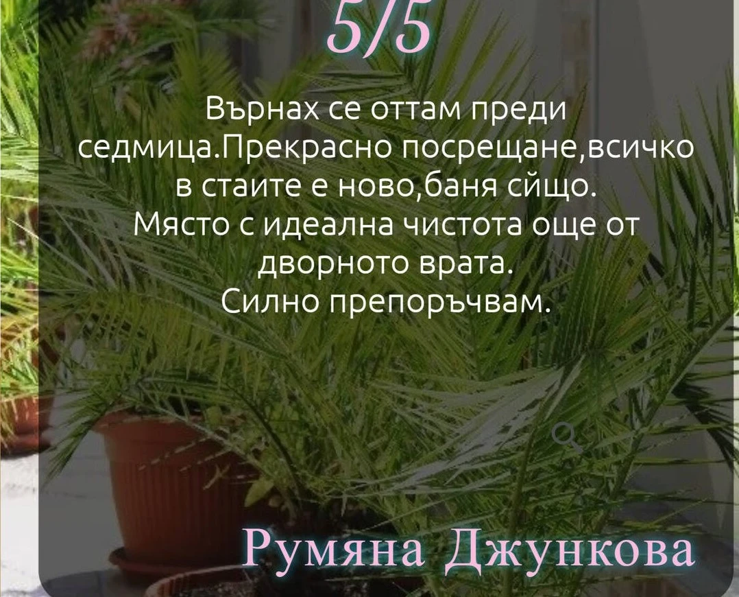 145-отзив4-17468876199294.jpg
