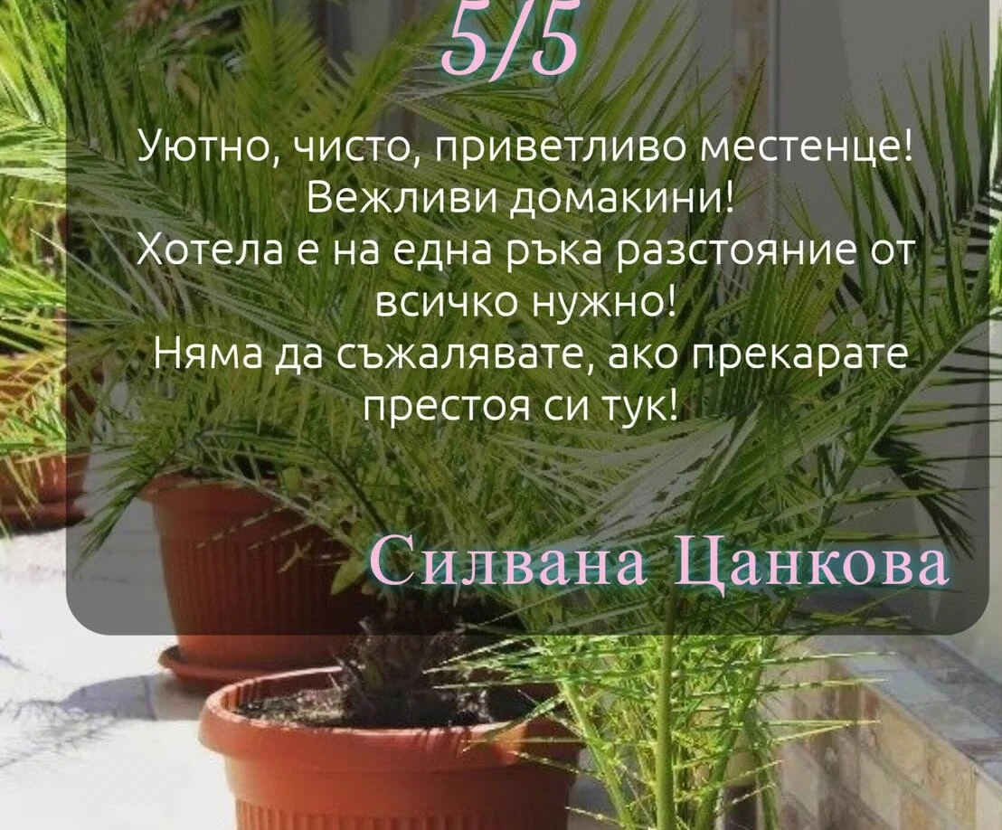 145-отзив8-17468876199335.jpg