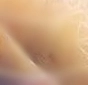 791-r787-a5e0fd2c15c6e9d85ffdb867b6d2050d-crop-17497507343067.jpg