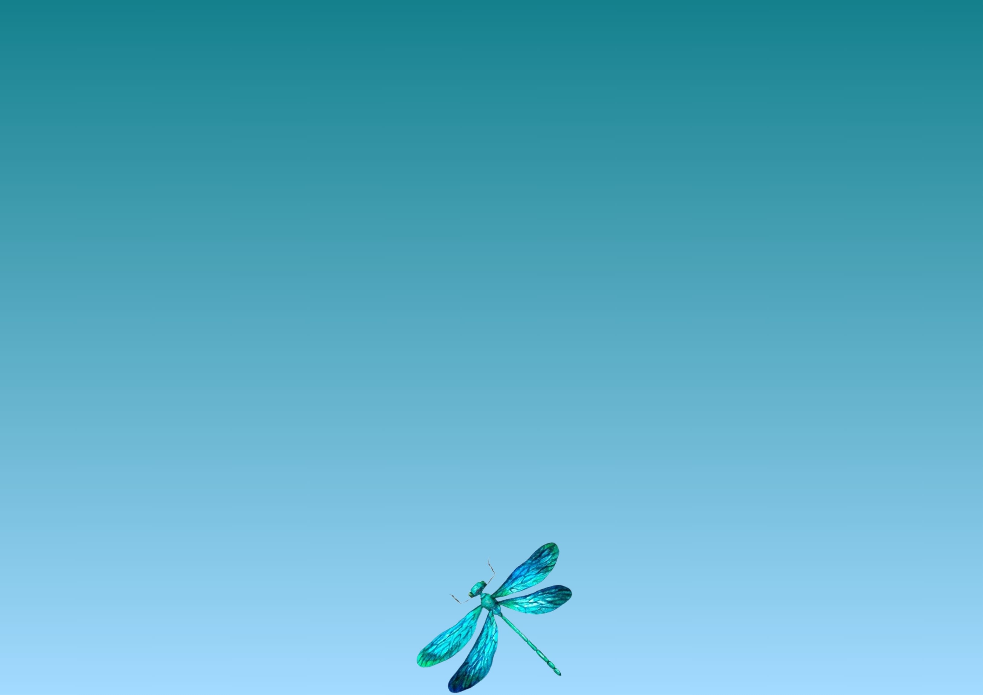 876-r29-fdhfdhdhf-17517275567384.jpg