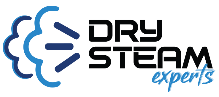 Drysteam