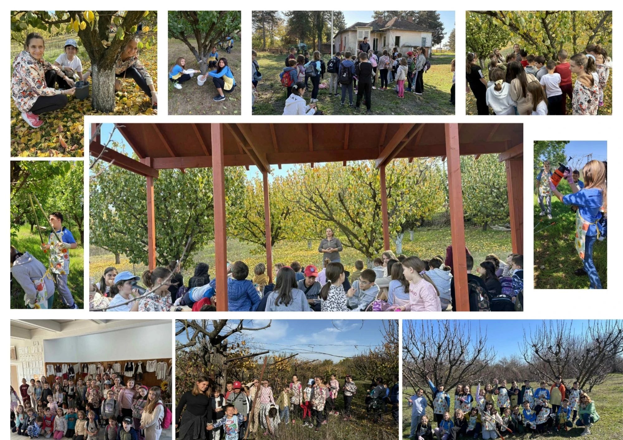 220 малки овощари завършиха успешно проекта „Овощарство за деца“